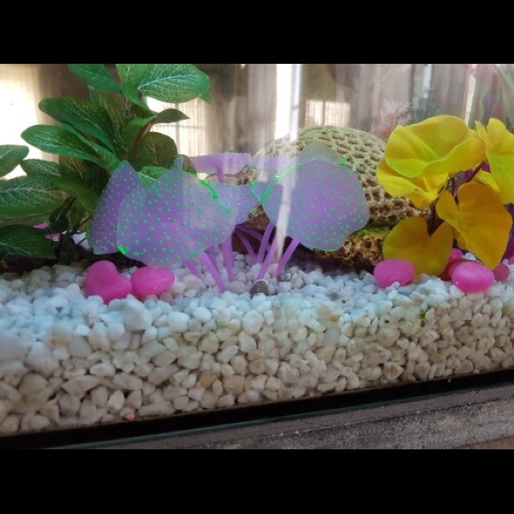 π 2 Silicone Fish tank decoration π mashrooms - Picture 4 of 8